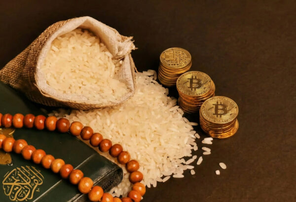 Sahmayn in Islam, Khums donation of rice and Bitcoin (BTC) symbolizing wealth purification and charity for needy Sayyids.