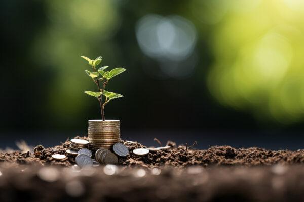 A sapling grows from a stack of coins, symbolizing growth and investment. The image connects to Private Endowment in Islam, with a nod to anonymous crypto donations via BTC.