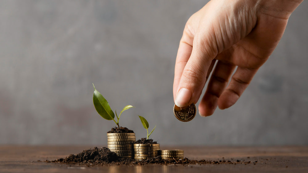 Hand places a coin on a stack of coins growing a plant. Paying Sadaqa with Bitcoin for growth and transparency. BTC