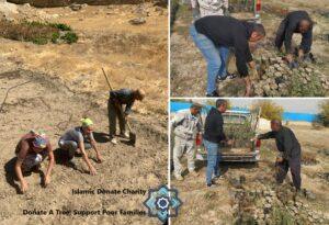 Volunteers planting fig trees in a dry landscape, donating a tree supports poor families, with options for cryptocurrency donations like ETH for sustainable projects.