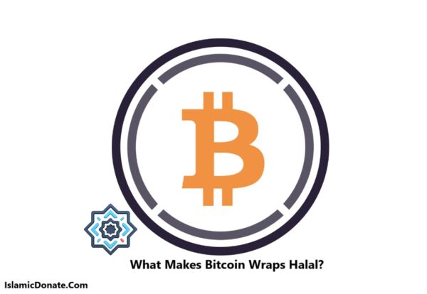 Bitcoin wraps halal status explanation with BTC logo. Muslim users donate WBTC or XBTC for Islamic Donate Charity relief.